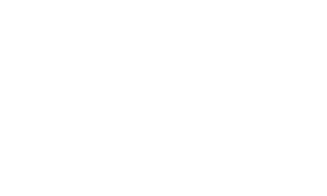 IQ logo -links to homepage